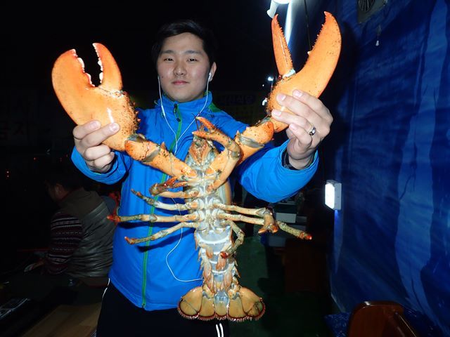 P1020040.jpg
