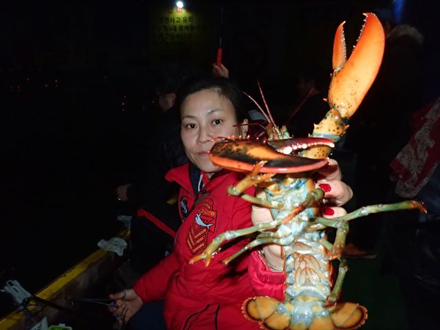 P1020022.jpg
