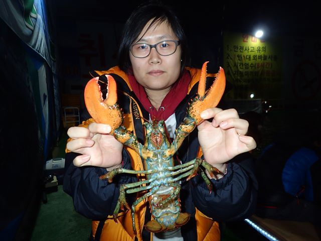 P1020032.jpg
