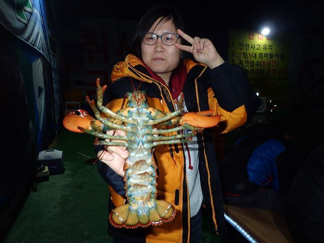 P1020033.jpg