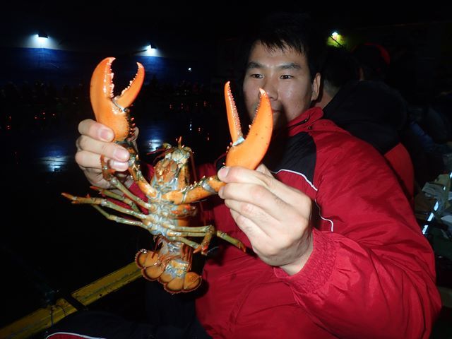 P1020093.jpg