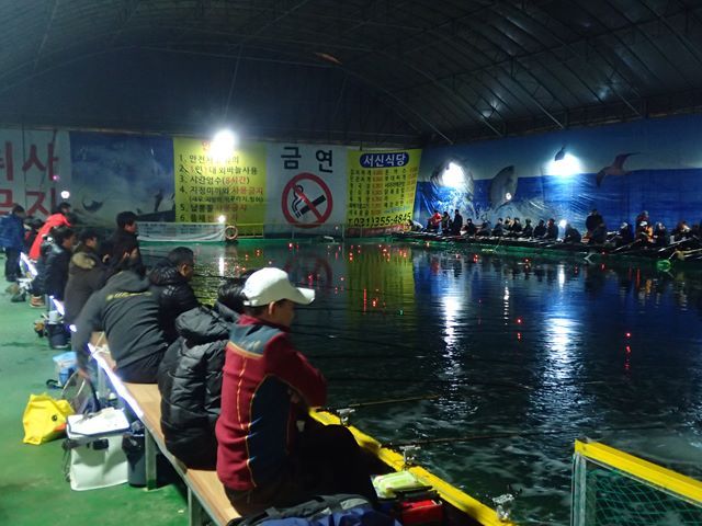 P1020102.jpg