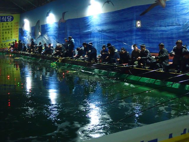 P1020101.jpg