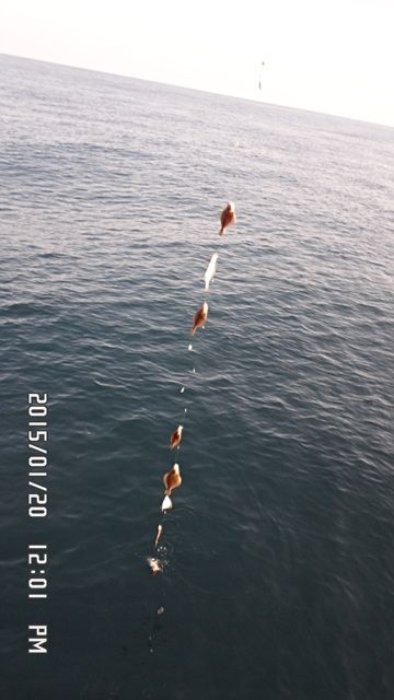 006.jpg