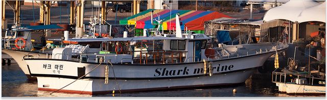 ��ũ����ȣ �� ����.jpg