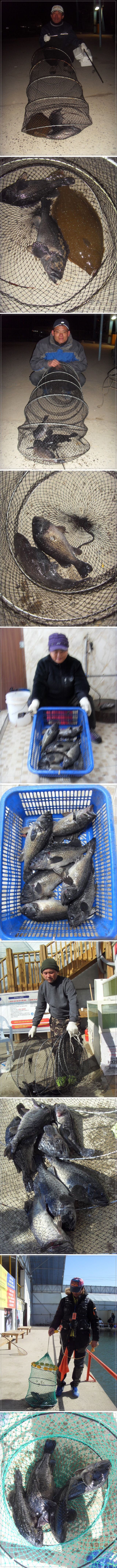 55555.jpg