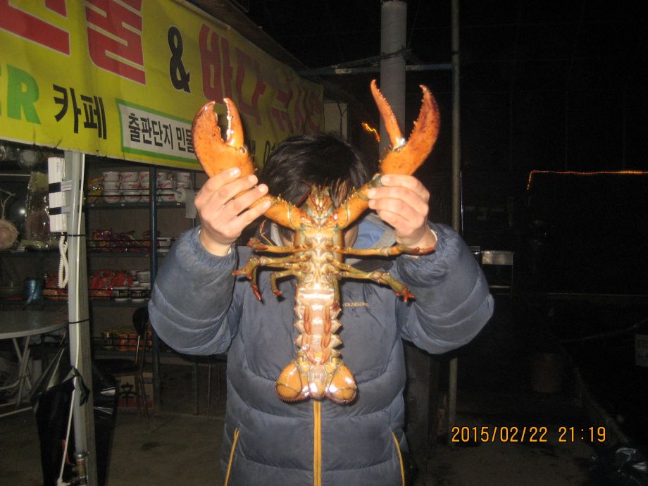 001.JPG