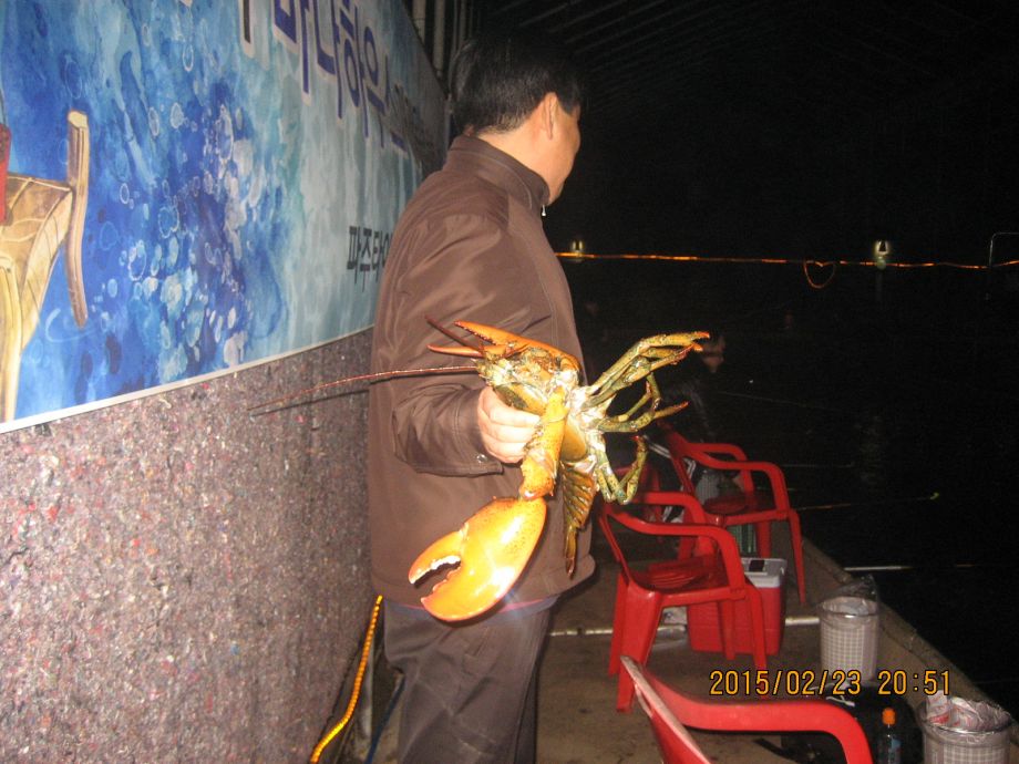 010.JPG