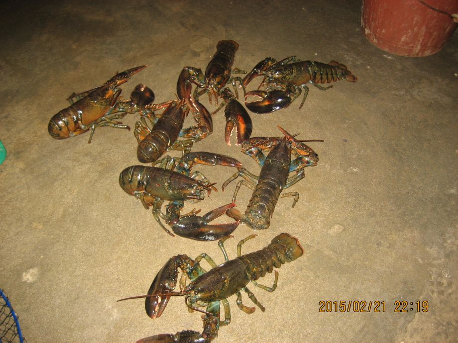 002.JPG