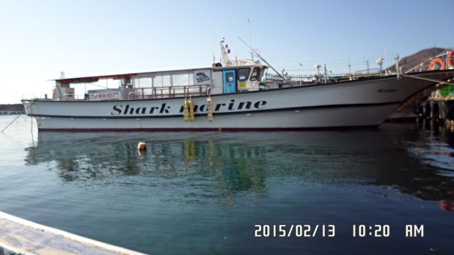 SAM_3306.jpg