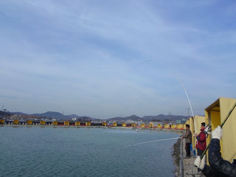 �ٹ̱�_SAM_0012.JPG