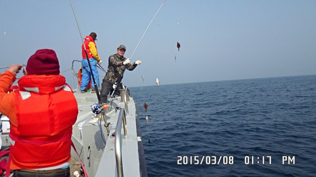 010.jpg