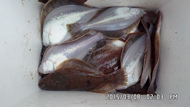 011.jpg