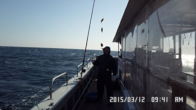 SAM_3540.jpg