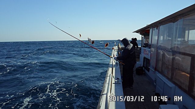 SAM_3541.jpg