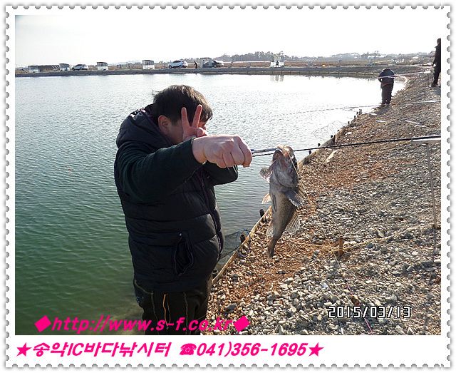 19.jpg
