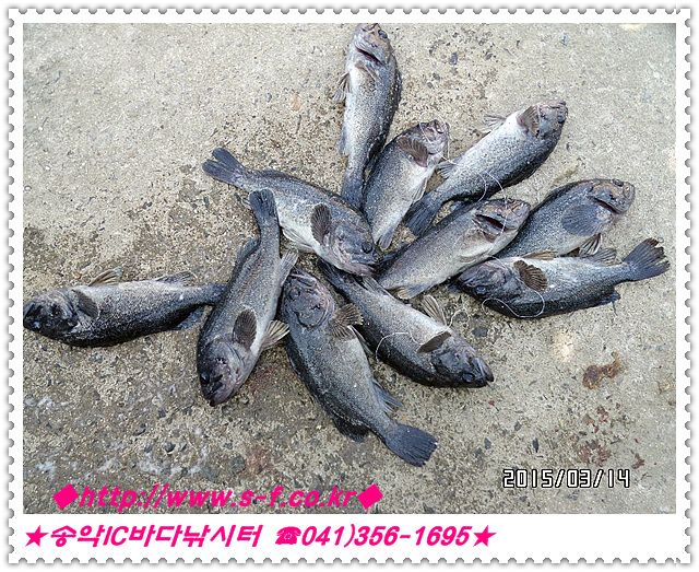 20.jpg