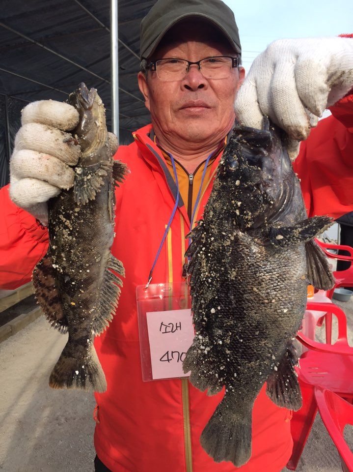 KakaoTalk_20150314_172529614.jpg