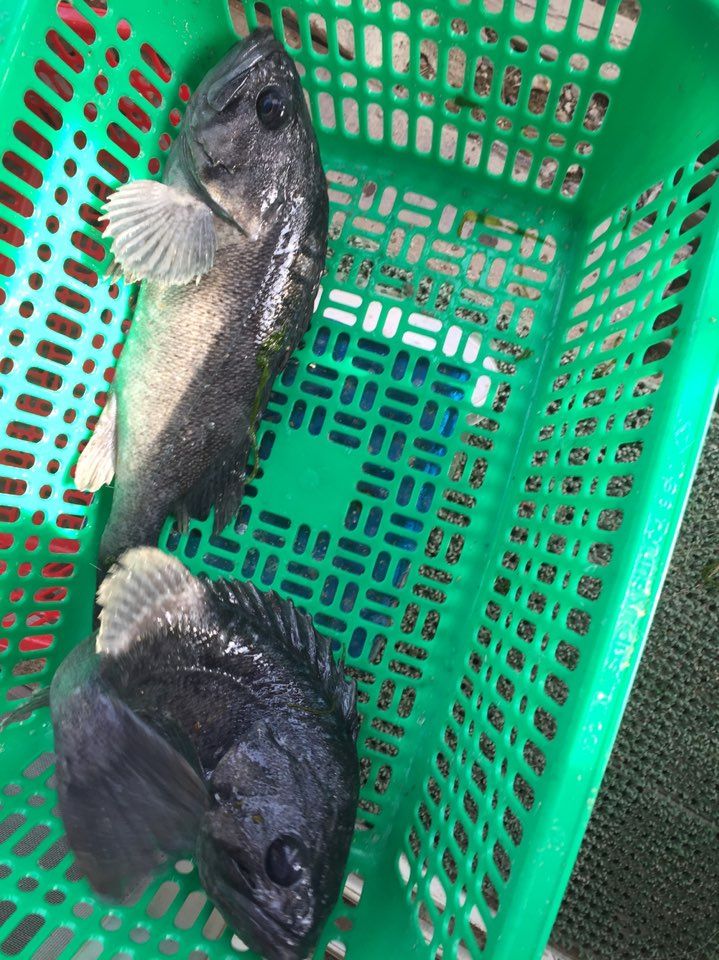 KakaoTalk_20150314_172541231.jpg