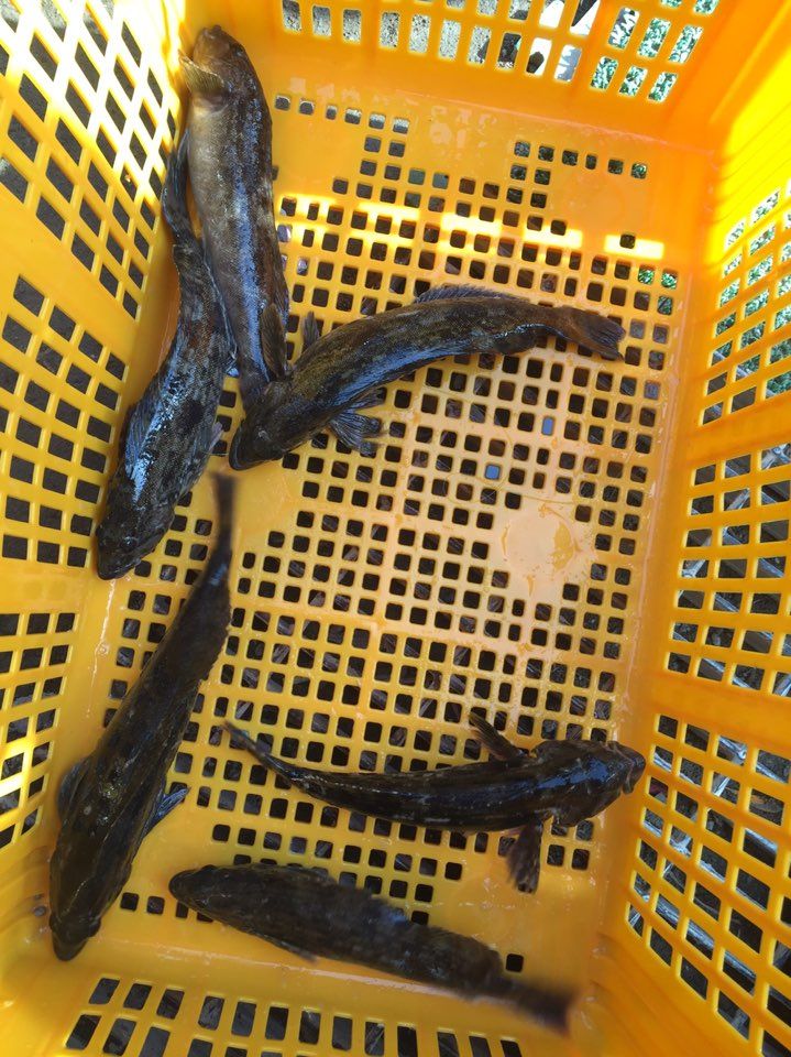 KakaoTalk_20150314_172542791.jpg