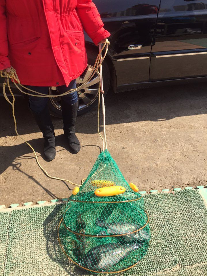 KakaoTalk_20150314_172555283.jpg