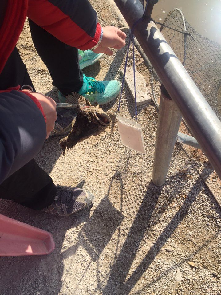 KakaoTalk_20150314_172556863.jpg
