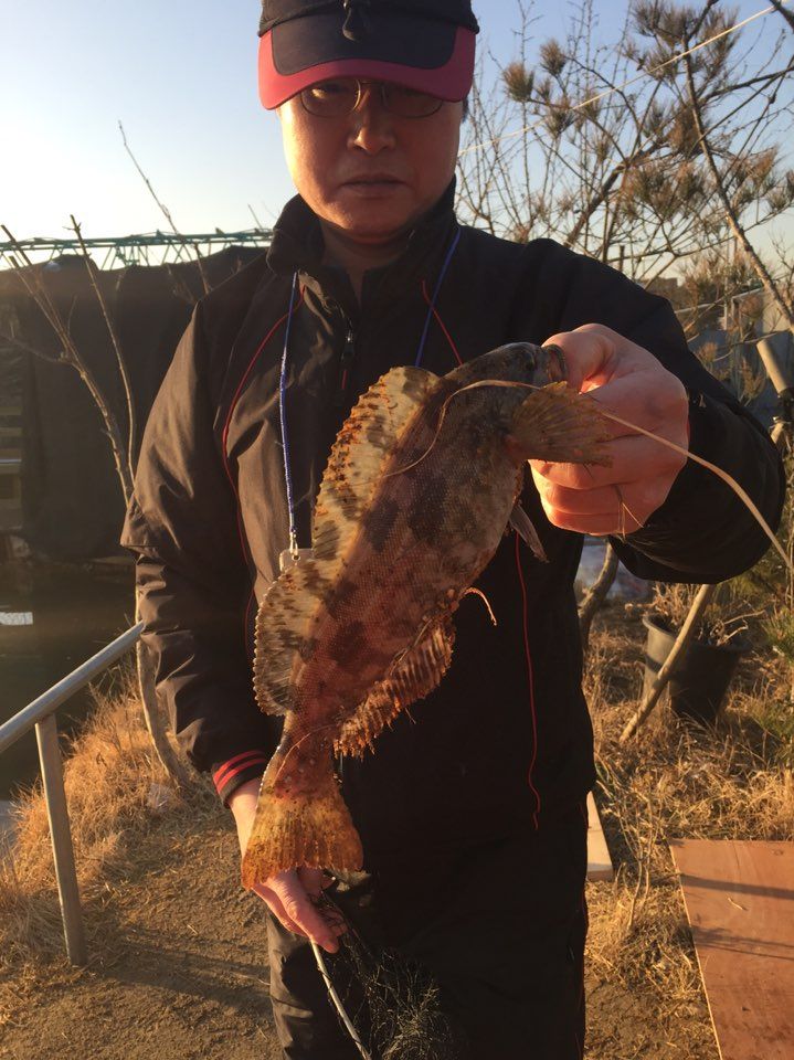 KakaoTalk_20150314_172558148.jpg