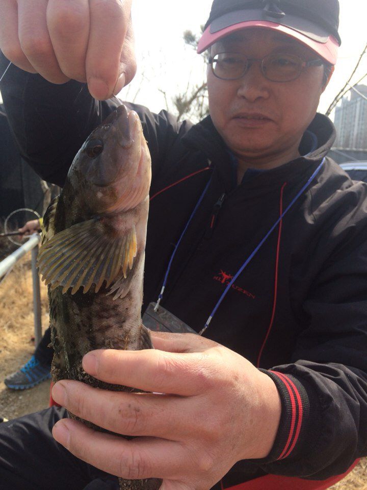 KakaoTalk_20150314_191908190.jpg