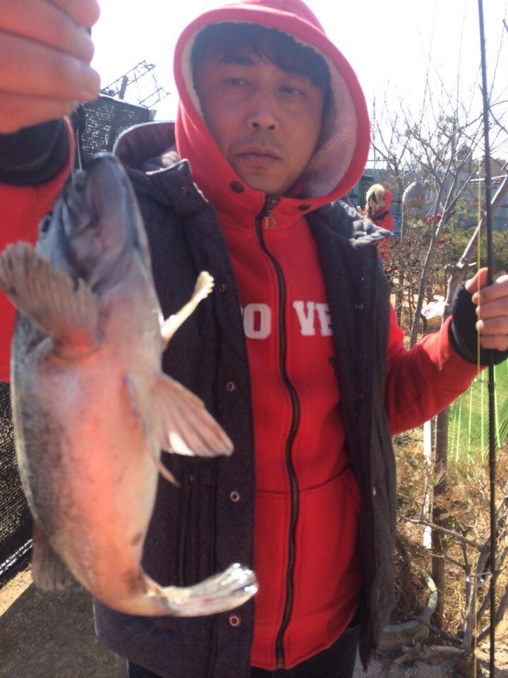 KakaoTalk_20150314_191925074.jpg