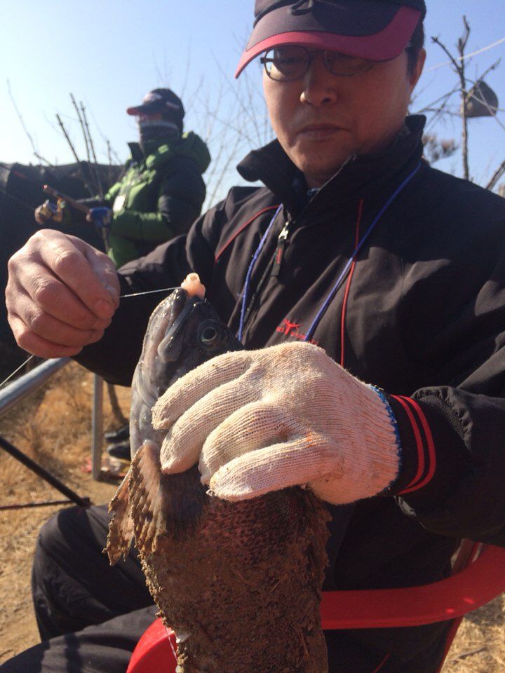 KakaoTalk_20150314_191928065.jpg