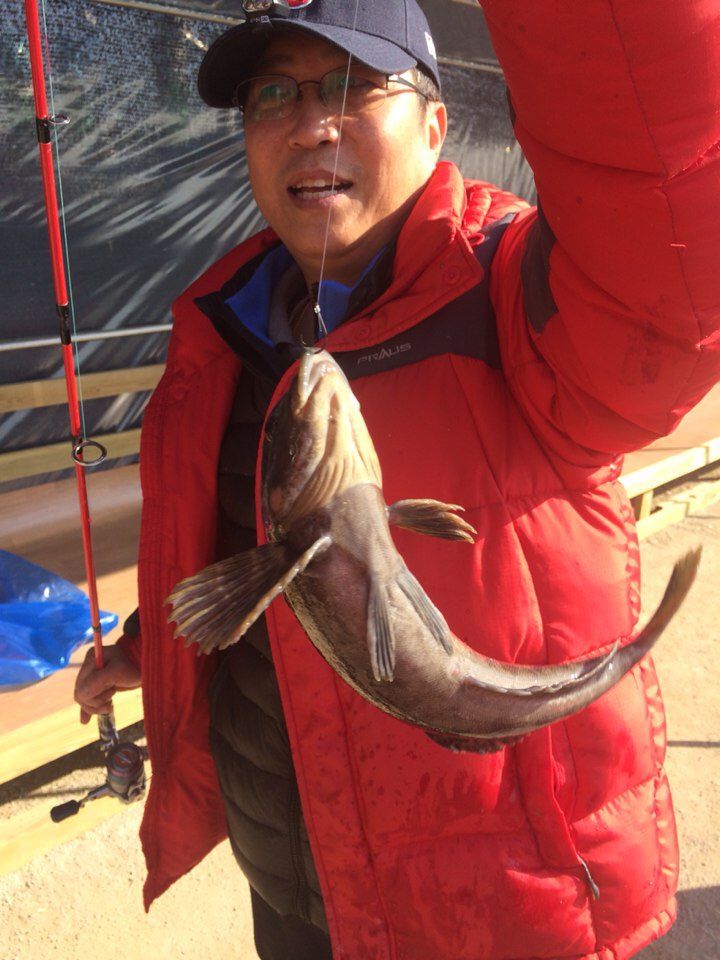 KakaoTalk_20150314_191930177.jpg