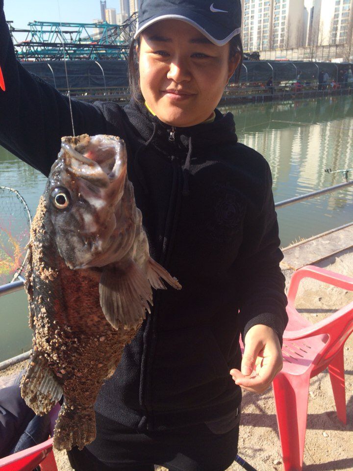 KakaoTalk_20150314_191929379.jpg
