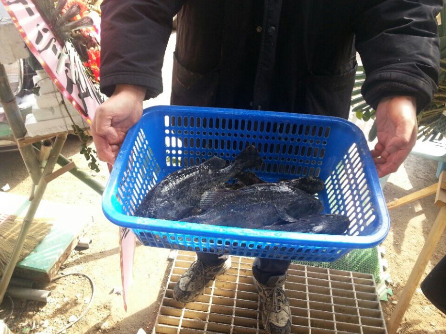 KakaoTalk_20150314_191938471.jpg