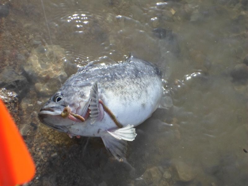 �ٹ̱�_SAM_0024.JPG