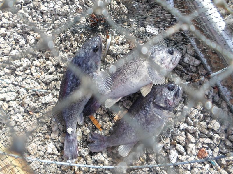 �ٹ̱�_SAM_0030.JPG