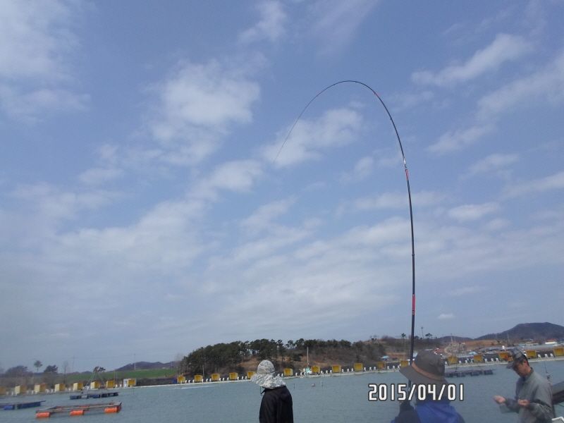 ٹ̱_SAM_0010.JPG