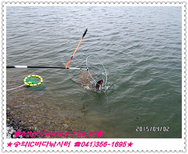 15.jpg