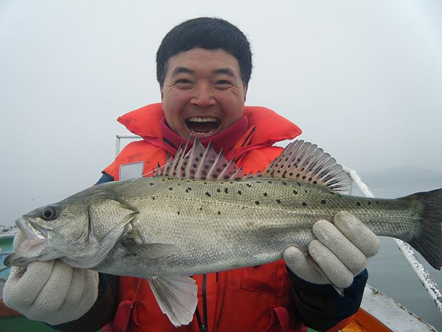 DSCF6255.jpg