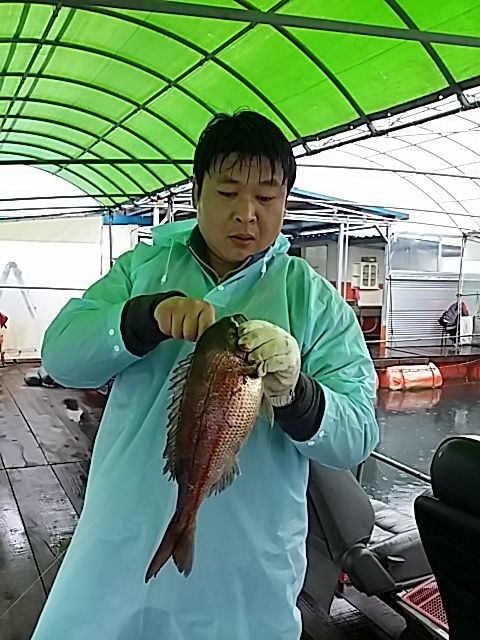 219.jpg