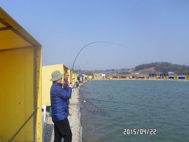 ٹ̱_SAM_0021.JPG