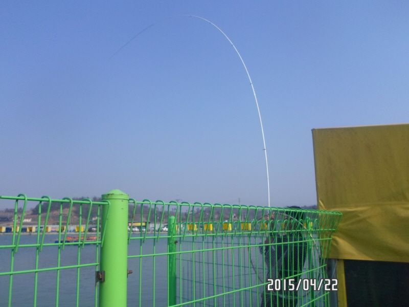 ٹ̱_SAM_0025.JPG
