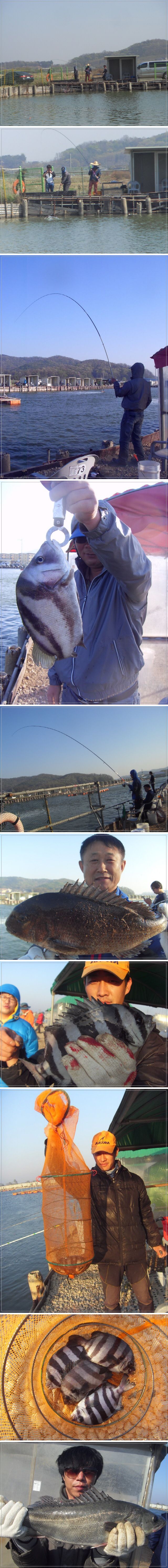 55555.jpg