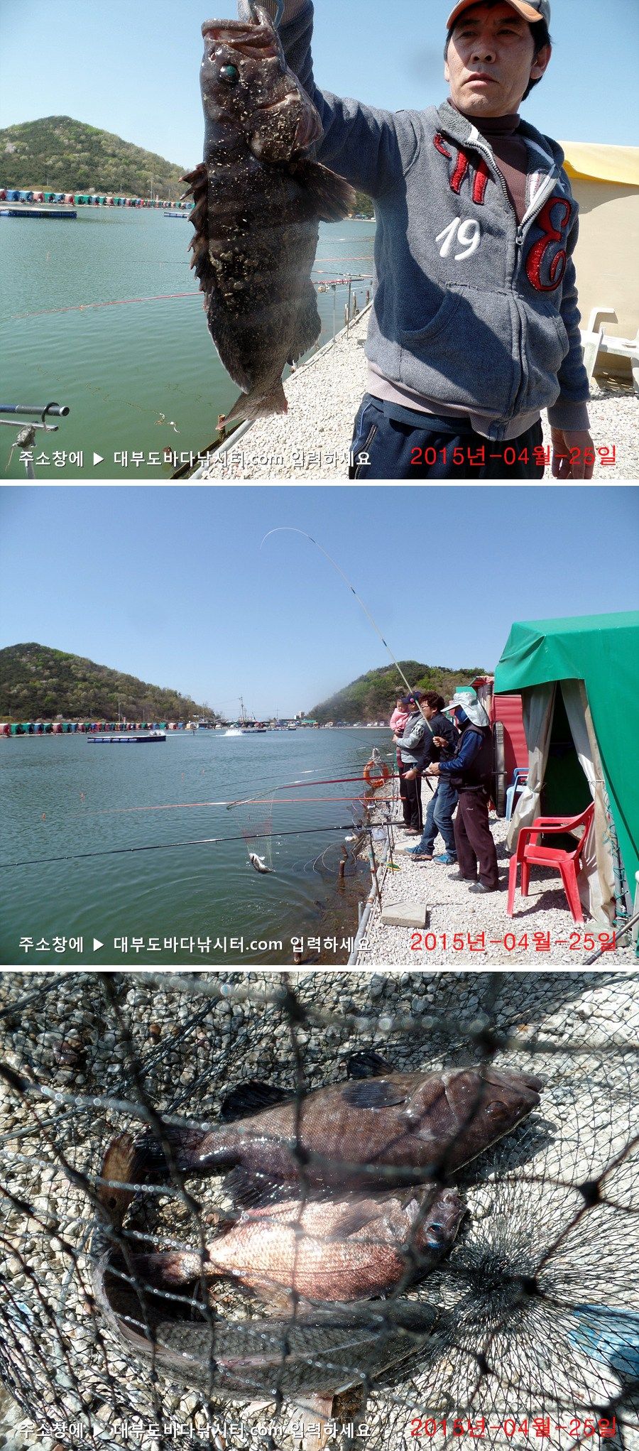 SAM_3190-vert.jpg