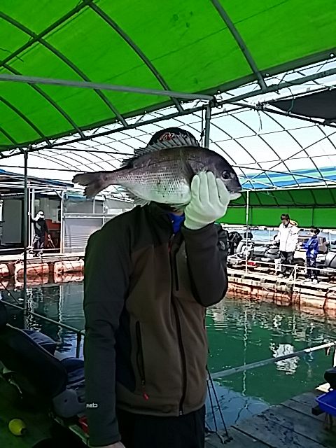 225.jpg