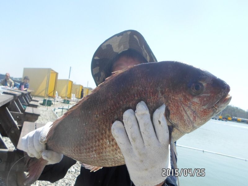 �ٹ̱�_SAM_0026.JPG
