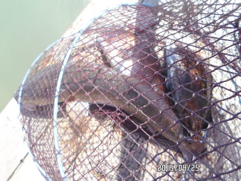 �ٹ̱�_SAM_0027.JPG