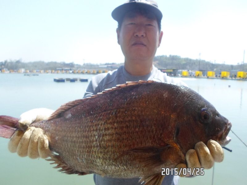 �ٹ̱�_SAM_0030.JPG