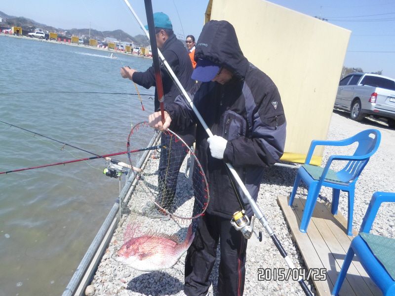 �ٹ̱�_SAM_0041.JPG