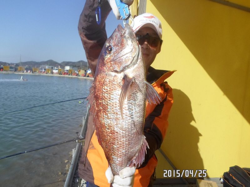 �ٹ̱�_SAM_0048.JPG