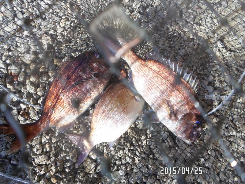 �ٹ̱�_SAM_0049.JPG